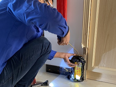 文冲预防白蚁中心冬季是灭白蚁的最好时机