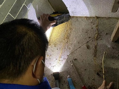 鱼珠上门灭白蚁所：居家白蚁预防全攻略